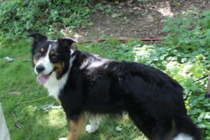 Jahreshauptversammlung mit Wahl @ Pfarrheim St. Jakobus Harheim