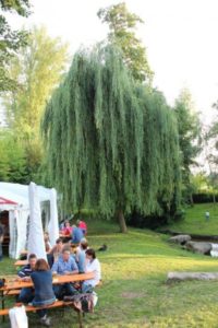 Jahreshauptversammlung mit Wahl @ Pfarrheim St. Jakobus Harheim