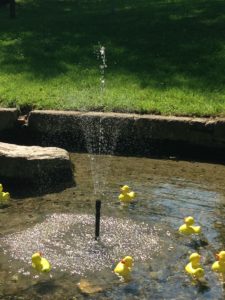 Jahreshauptversammlung mit Wahl @ Pfarrheim St. Jakobus Harheim