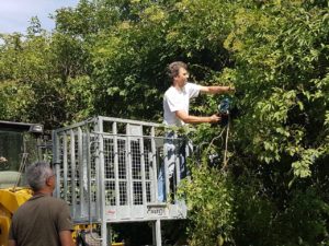 Jahreshauptversammlung mit Wahl @ Pfarrheim St. Jakobus Harheim